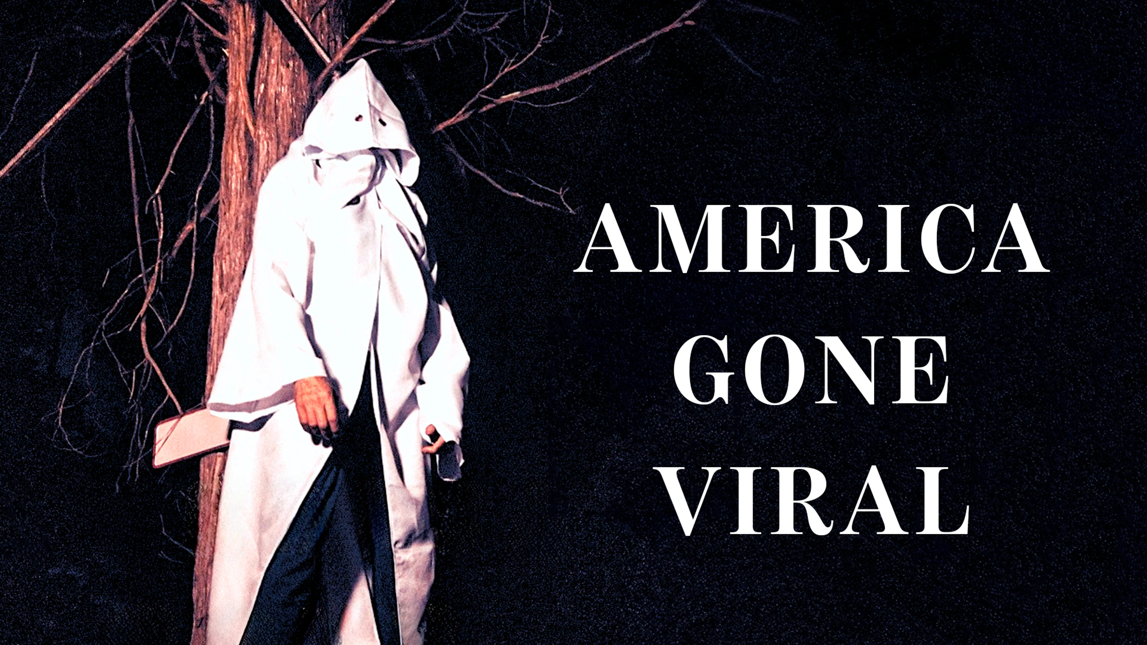 America Gone Viral poster